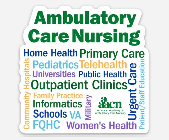 Ambulatory Care Nursing Magnet pack of 50 (price includes Shipping)